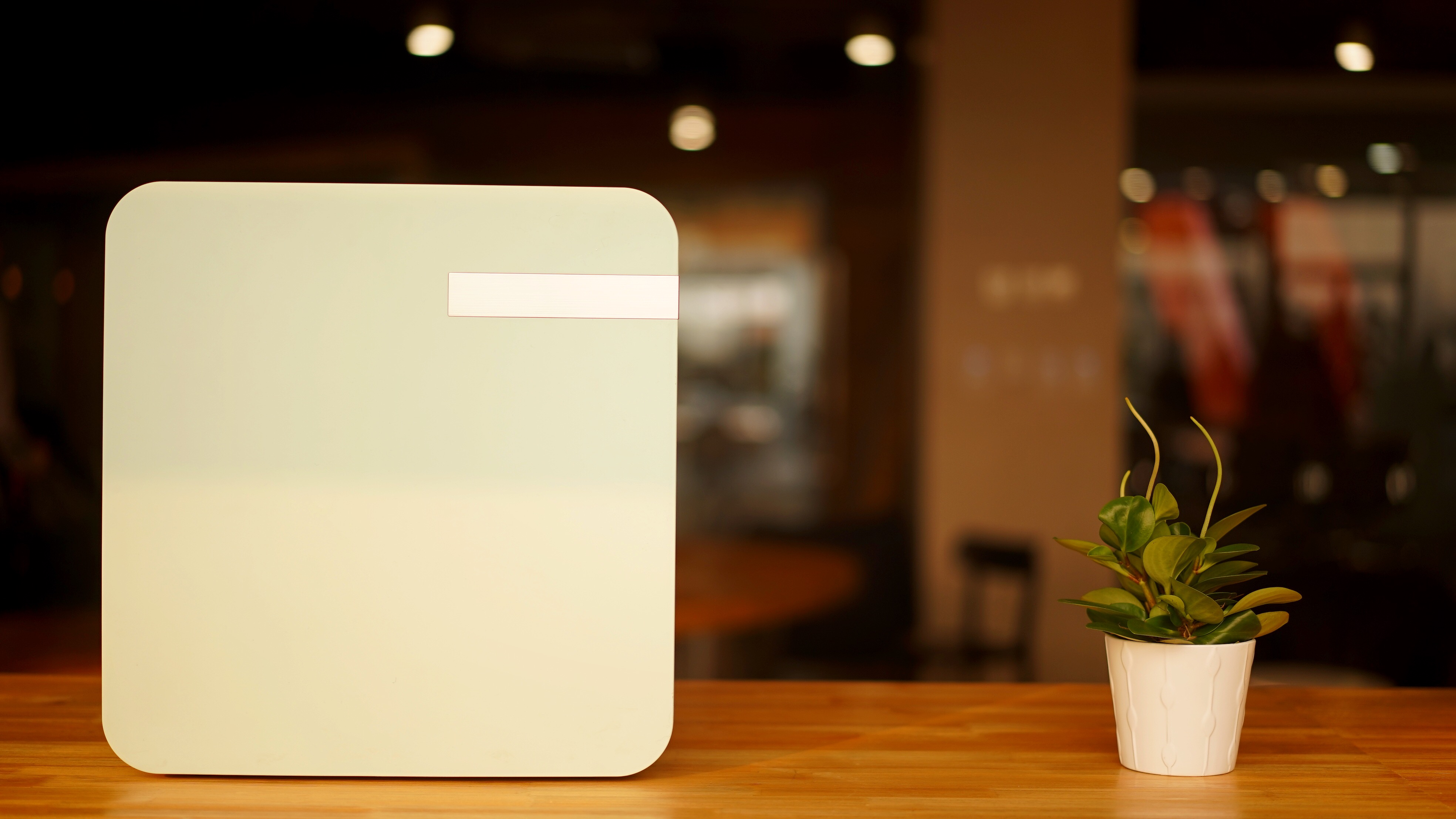 圈子 - 送你地球上最纯净的空气