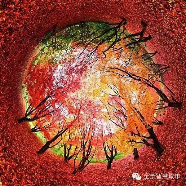 圈子 - 史上最纯正的360°全景照,你拍的只是照片